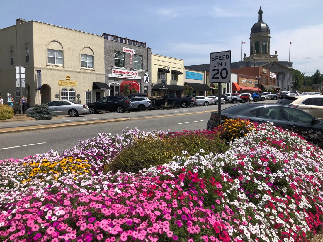 Flower beds in downtown Murphy with storefronts and the domed courthouse behind, demolition contractor based in Murphy