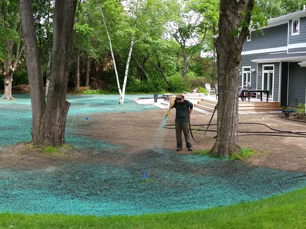 Worker spraying hydroseed mulch over a bare backyard among tall trees, hydroseeding