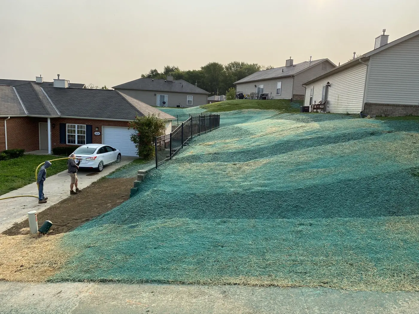 Fresh green hydroseed mulch covering a sloped yard between houses