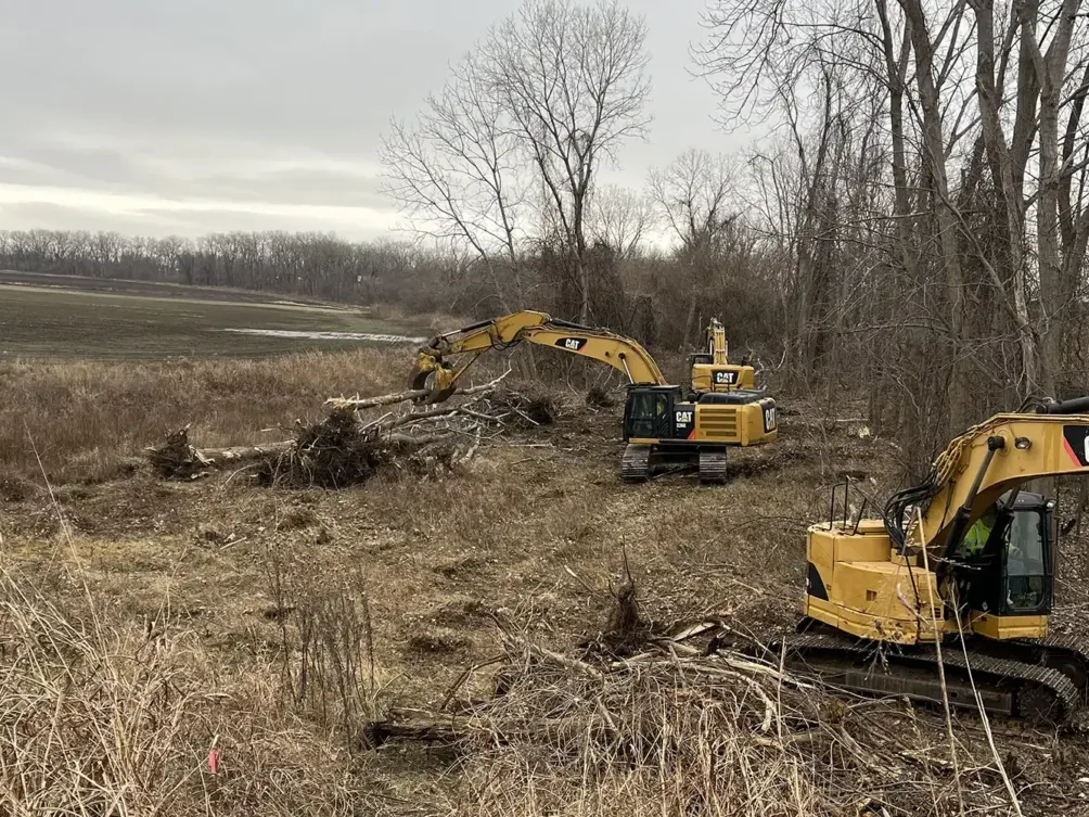 Two excavators pulling brush and small trees out of a tree line beside a field in winter, land clearing