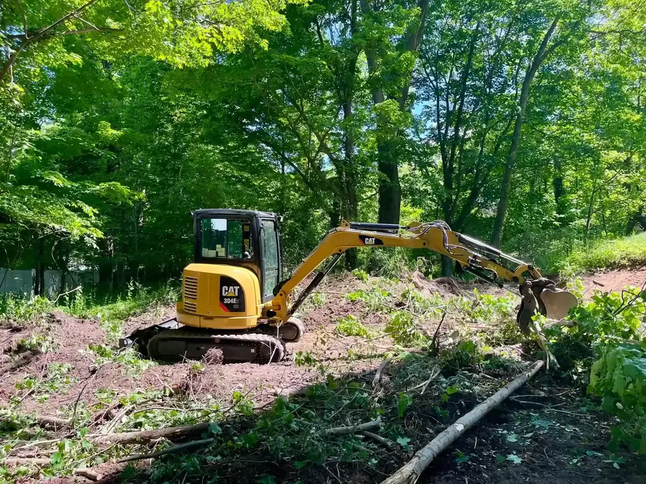 Mini excavator clearing brush and small trees on a wooded lot, land clearing