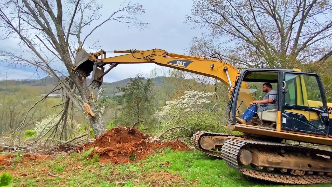 Excavator pushing over a leafless tree on a grassy lot with mountains behind