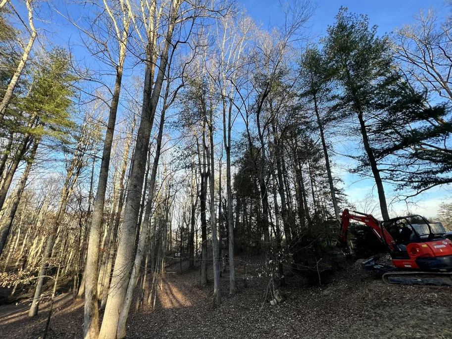 Mini excavator working at the edge of a stand of tall trees on a sloped wooded lot, tree removal